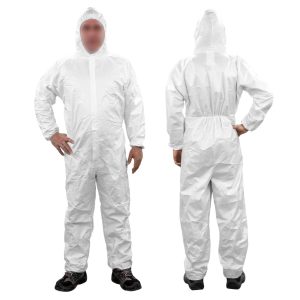 WhatsApp Image 2024-12-16 at 12.59.35